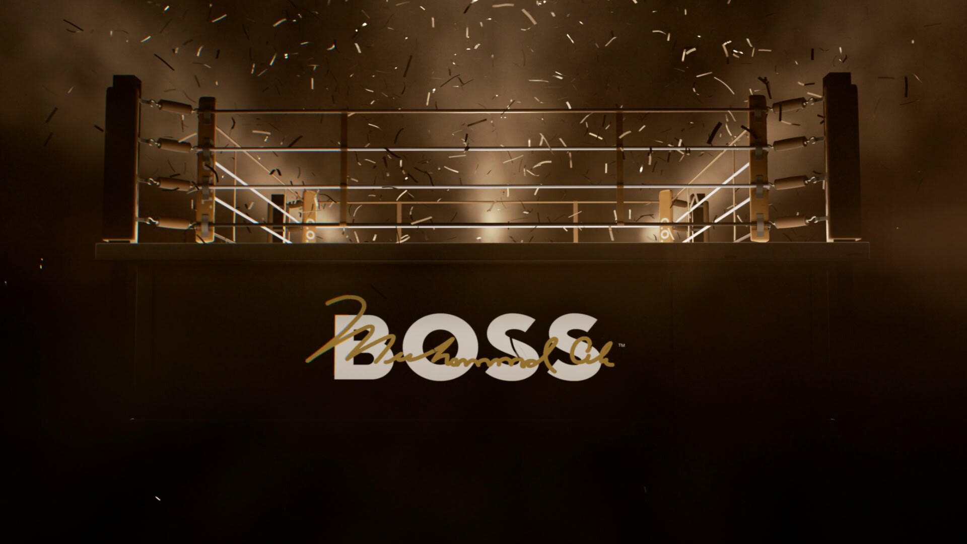 hugo boss boxing